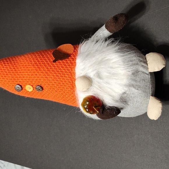 Fall Gnome - Picture 2 of 5